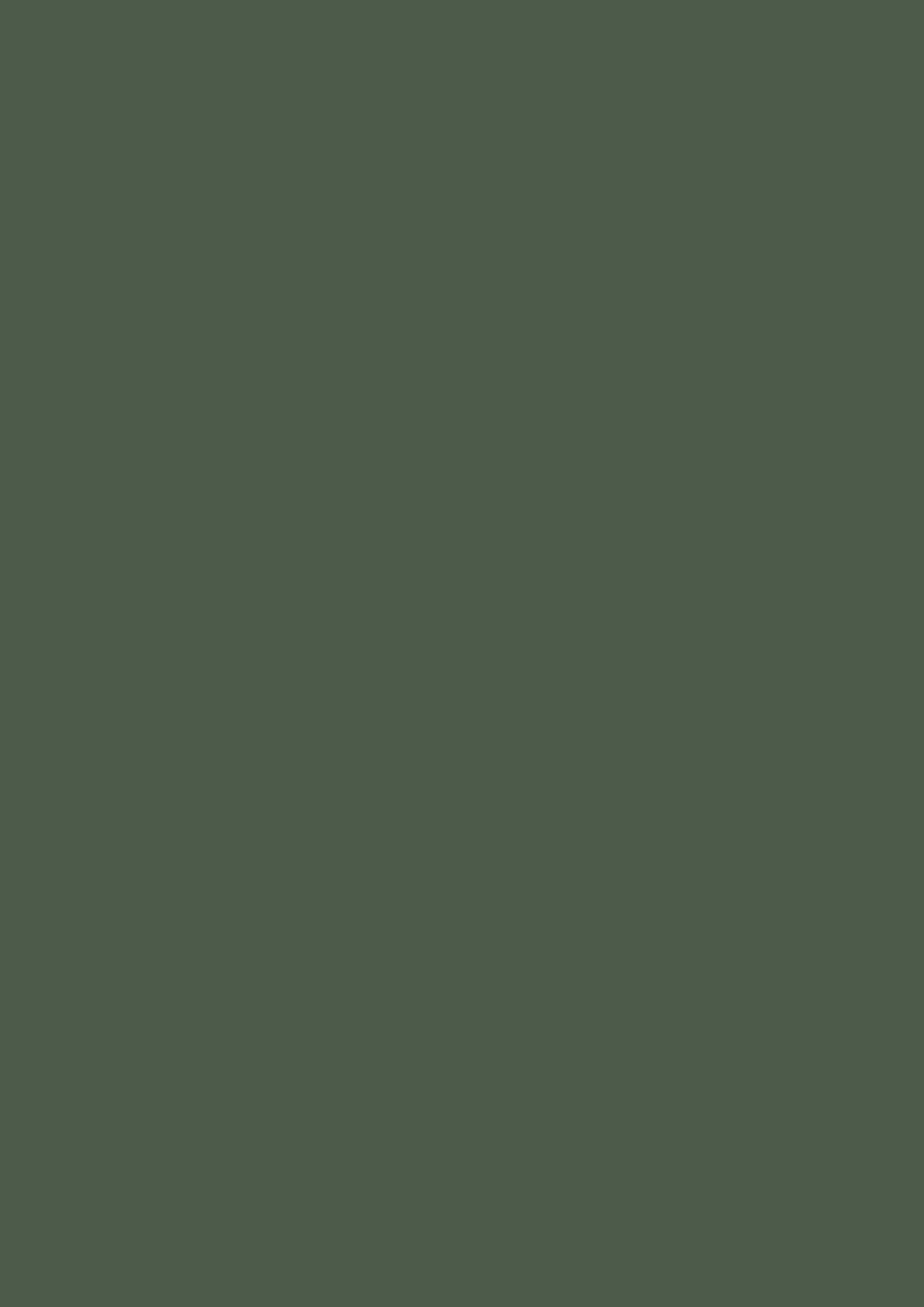 Farrow & Ball Farbe Beverly No. 310