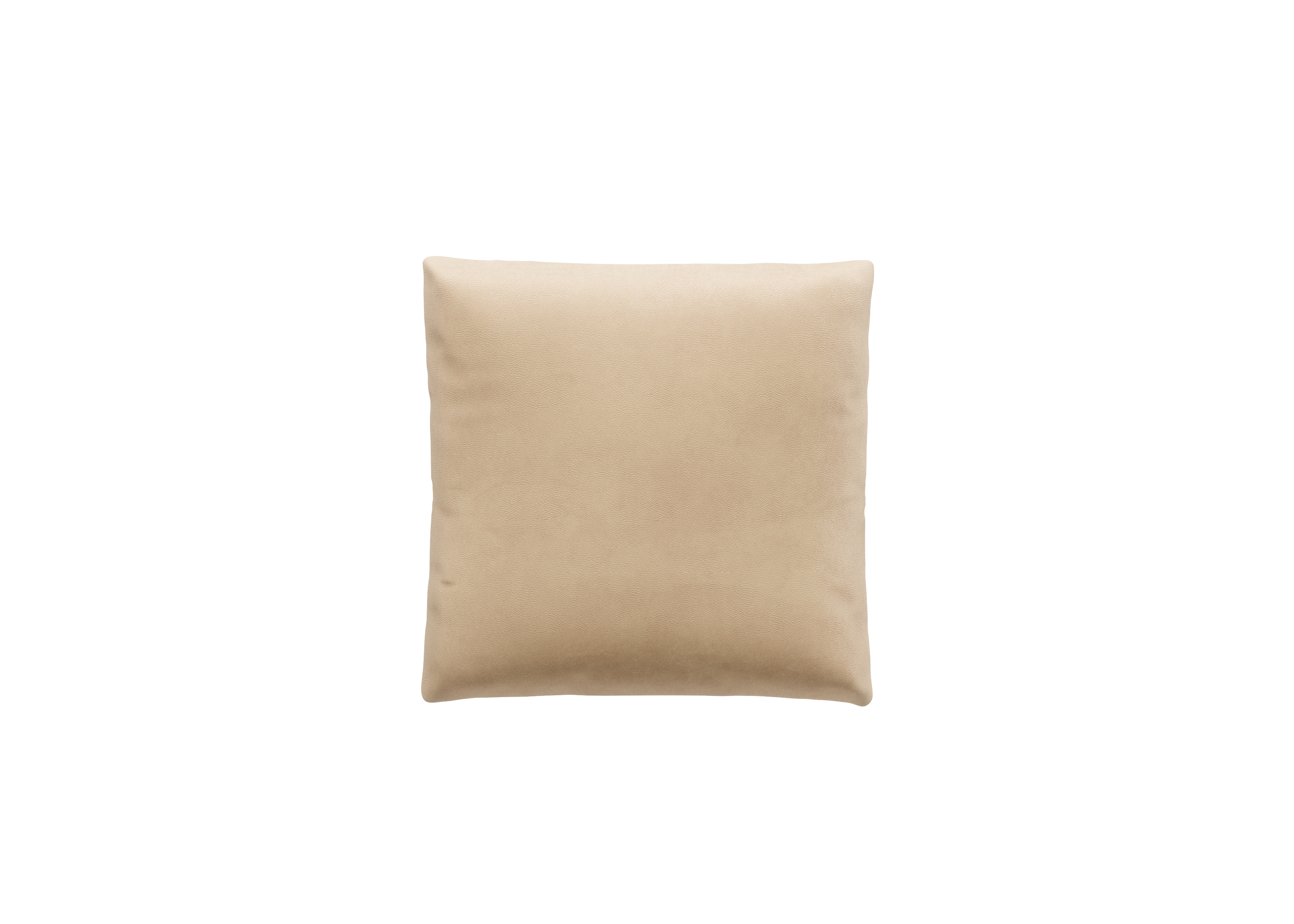 vetsak Kissen Big Pillow