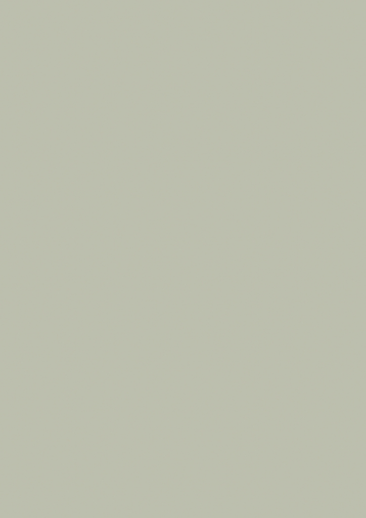 Farrow & Ball Farbe Mizzle No. 266