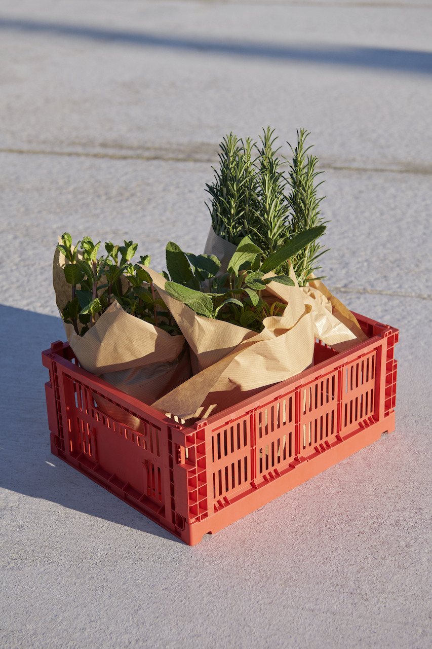 HAY Colour Crate M
