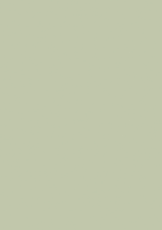 Farrow & Ball Farbe Vert de Terre No 234