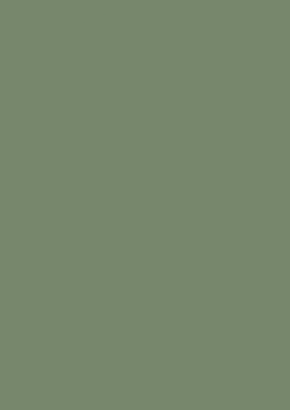 Farrow & Ball Farbe Calke Green No.34