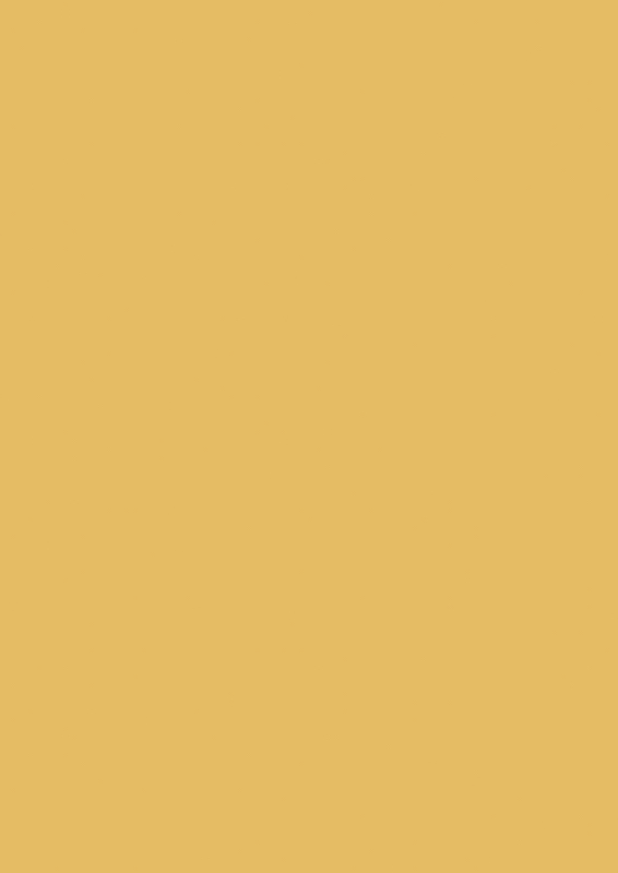 Farrow & Ball Farbe Babouche No.223