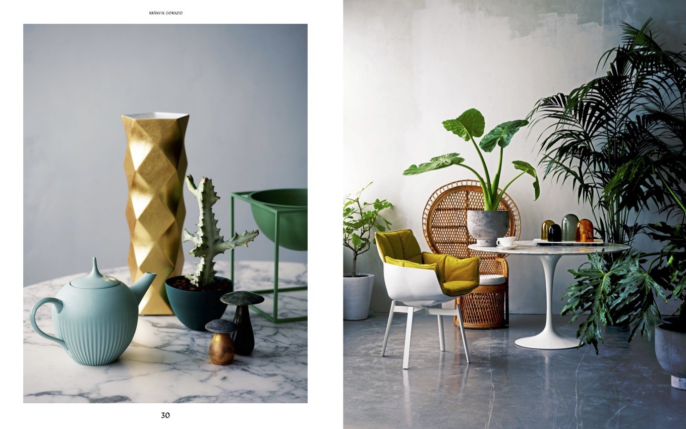 Evergreen - Living with Plants