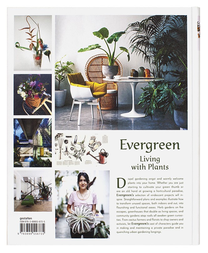 Evergreen - Living with Plants